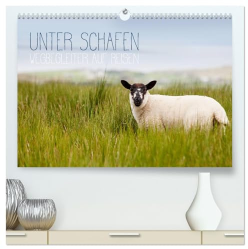 Unter Schafen - Wegbegleiter auf Reisen (hochwertiger Premium Wandkalender 2026 DIN A2 quer), Kunstdruck in Hochglanz: Für Schaf-Liebhaber und alle die es werden wollen. (CALVENDO Tiere)