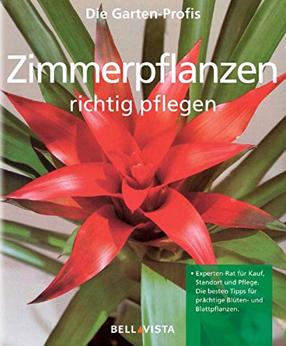 Zimmerpflanzen richtig pflegen. Die Garten-Profis