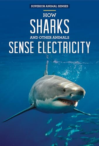 How Sharks and Other Animals Sense Electricity (Superior Animal Senses)