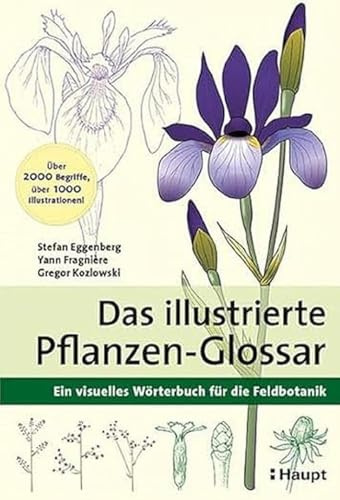 Das illustrierte Pflanzen-Glossar: Ein visuelles Wörterbuch für die Feldbotanik