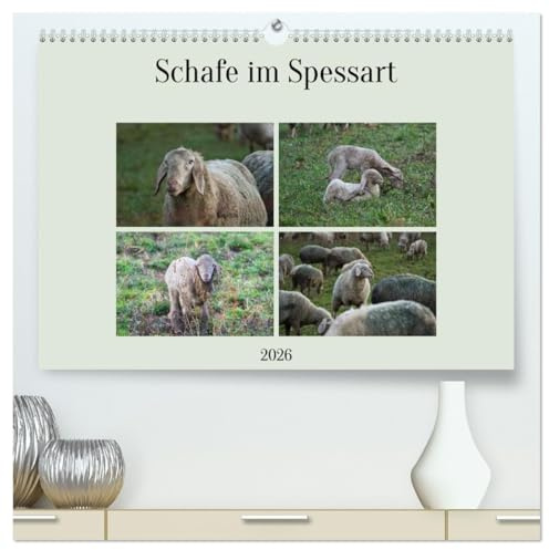 Schafe im Spessart (hochwertiger Premium Wandkalender 2026 DIN A2 quer), Kunstdruck in Hochglanz: Ein Kalender voller Fotos der süßen Wollknäuel (CALVENDO Tiere)