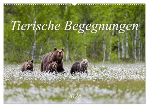 Tierische Begegnungen (Wandkalender 2026 DIN A2 quer), CALVENDO Monatskalender: Tierbilder aus Europas Natur (CALVENDO Tiere)