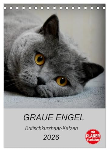 Graue Engel - Britischkurzhaar-Katzen (Tischkalender 2026 DIN A5 hoch), CALVENDO Monatskalender: Traumhafte Porträtfotos von Britischkurzhaar-Katzen (CALVENDO Tiere)