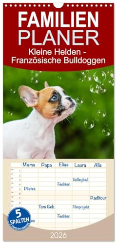 Familienplaner 2026 - Kleine Helden - Französische Bulldoggen mit 5 Spalten (Wandkalender, 21 cm x 45 cm), CALVENDO: Mit 13 bezaubernden Fotos der beliebten Französischen Bulldoggen (CALVENDO Tiere)