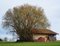 HANSEPUZZLE 11455 - Baum-Haus Puzzle 1000 Teile | Gebäude Puzzle mit hochwertiger Puzzle Aufbewahrung: Kartonbox und Wieder verschließbarem Beutel | Puzzle-Maße: 60 x 46 cm