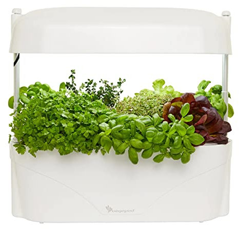 vegepod - Kitchen Garden - Gourmet Herb and Vegetable Indoor Grow Kit, Self Watering, LED Grow Light (White)