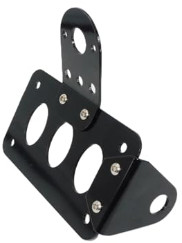 Number Plate Holder For Harle&y Chopper Bobber Sportster XL Motorcycle Side Mount Taillight Brake License Plate Bracket Holder (Color : License Plate)