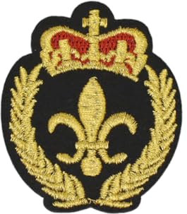 Patch blason, écusson armoiries fleur de lys, écusson héraldique pour customisation de vêtements et accessoires, 6,2 cm x 5,4 cm