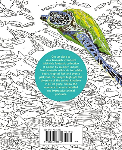 Animal Kingdom Colour by Numbers (Arcturus Colour by Numbers Collection, 4)