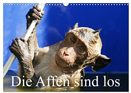 Die Affen sind los (Wandkalender 2026 DIN A3 quer), CALVENDO Monatskalender: Aufnahmen in Thailand und Borneo gemacht (CALVENDO Tiere)