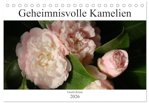 Geheimnisvolle Kamelien (Tischkalender 2026 DIN A5 quer), CALVENDO Monatskalender: Der mystische Zauber der Kamelienblüten (CALVENDO Natur)