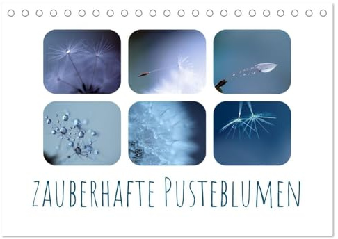 Zauberhafte Pusteblumen (Tischkalender 2026 DIN A5 quer), CALVENDO Monatskalender: Tauchen Sie ein in die zauberhafte Welt der Pusteblumen (CALVENDO Natur)