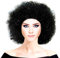 Clown perücke - afro 70er - mann - erwachsene - karneval - schwarze farbe - zulu - originelle geschenkidee
