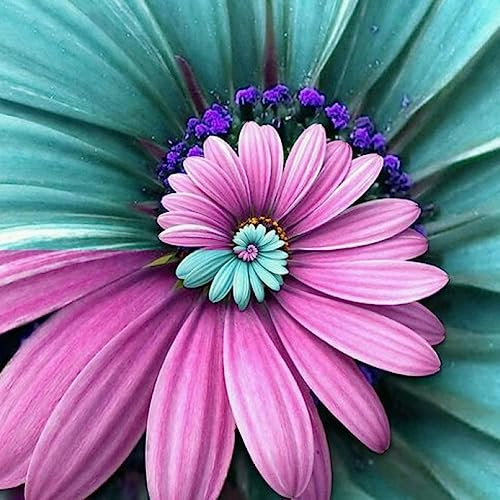 400 Unids Color Mezclado Raro Crisantemo Flores Ornamentales Plantas Bonsai Semillas Flor Fruta Árbol Vegetal Semillas Semilla de crisantemo de color mixto