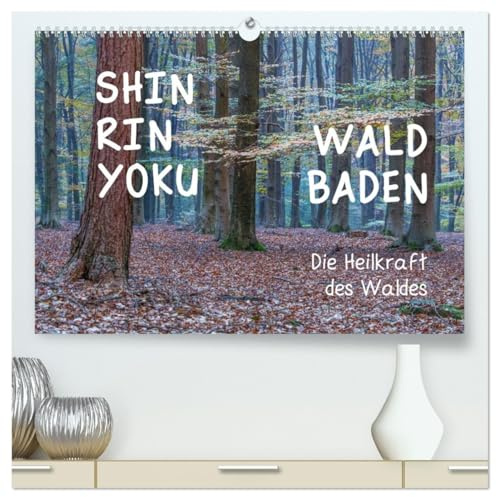 Shinrin yoku - Waldbaden 2026 (hochwertiger Premium Wandkalender 2026 DIN A2 quer), Kunstdruck in Hochglanz: Zwölf einladende Fotografien inspirieren ... abzutauchen (CALVENDO Gesundheit)