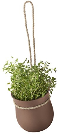 rig tig Z00130-1 Kräutertopf, Braun