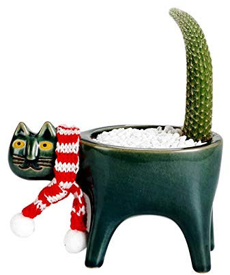 courti Macetero para gatos, maceta de cerámica para suculentas de animales de cerámica, bonito gato cactus suculentas maceta, maceta de cerámica para bonsai