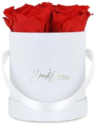 Stone&Bane FLOWERS Infinity Rosenbox | White Collection | XS | Rosenfarbe flammendes rot