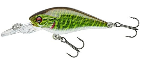 Daiwa Prorex Baby CB 40 MR live Pike Wobbler