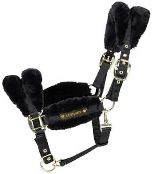 Kentucky - Halfter MINI SHETTY - Schwarz - Vegane Wolle