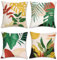 Bonhause 4er Set Kissenbezüge Tropische Blätter 45 x 45 cm Palmen Blätter Sonnenuntergang Samt Soft Dekorative Kissenhülle Zierkissenbezüge für Outdoor Sofa Wohnzimmer Zuhause Dekoration