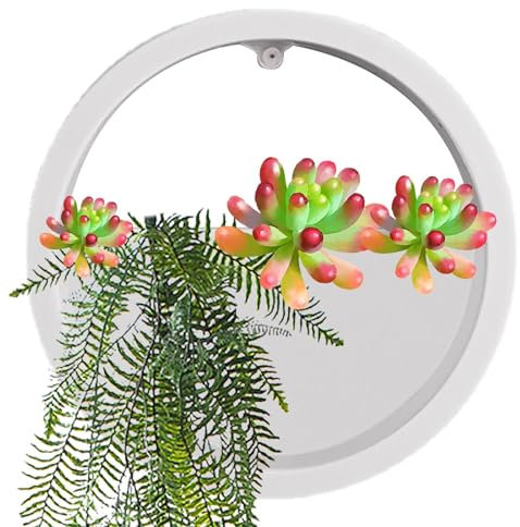 Pots de fleurs pour plantes murales, suspensions murales rondes, vase mural transparent pour plantes grasses, vase mural rond, pot de fleurs pour plantes d'intérieur, roton