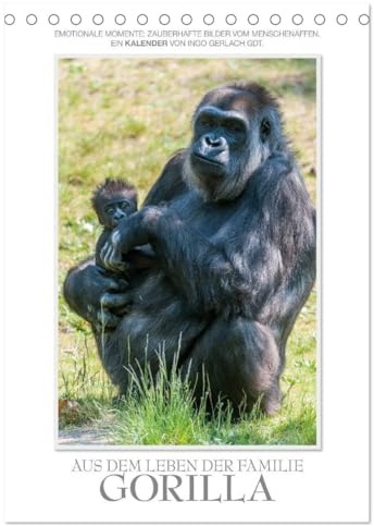 Emotionale Momente: Aus dem Leben der Familie Gorilla. (Tischkalender 2026 DIN A5 hoch), CALVENDO Monatskalender: Zauberhafte Bilder von unserem ... von Ingo Gerlach GDT. (CALVENDO Tiere)