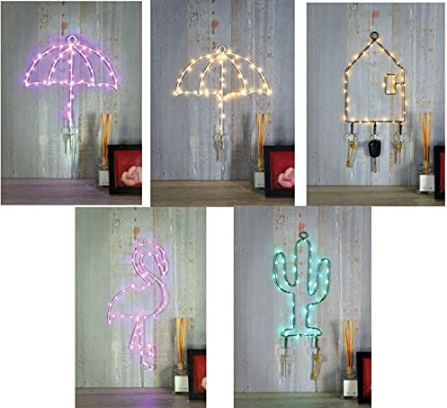 Lyyt Hanging LED Silhouette Wall Lights with Key Holder (Cactus)