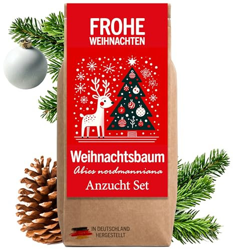 Little Plants Weihnachtsbaum Anzuchtset - Christbaum, Adventskalender Füllung, Wichtelgeschenk, Weihnachtsbaum in der Dose, Adventskalender befüllen Inhalt, Tannenbaum Geschenk Set (Variante 3)
