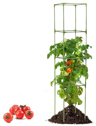 Tomaten-Rankhilfe | robuste quadratische Pfähle – hohe Halterung für Gartenblumen – für Ranken, Gemüse, Obst, drinnen und draußen