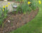 Plant Supports (UK) Ltd Rustic Iron Edging Hoop pack of 5 37cm high A0120