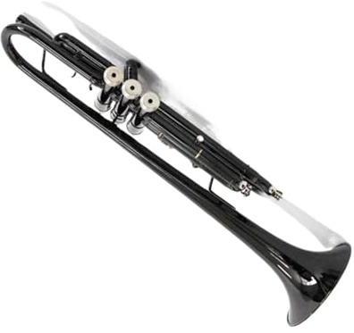 Standard Trompeten Trompete Instrument Bb Schwarz Farbe Messing Und Edelstahl Professionelle Standard Trompete Vollen Ton