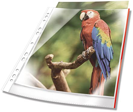 Durable Prospekthülle Premium mit farbigem Rand A4 glasklar PP Btl. à 25, rot, 265503