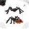 Halloween haarige spinne, halloween spinnen 2 x riesenspinne, halloween deko outdoor spinne, halloween horror deko, halloween deko,karneval,mottoparty für innen- und außendekorationen (30cm*2)