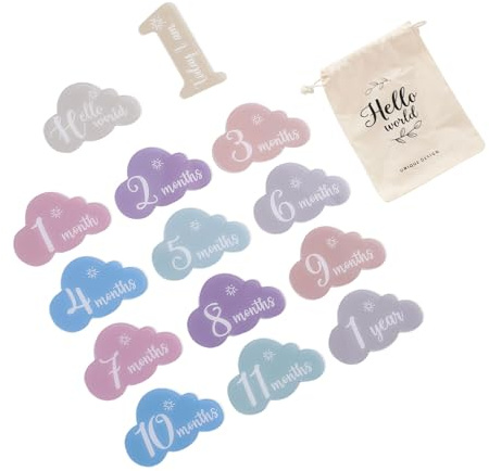 Acryl-Baby-Wahrzeichenkarten, schöne Form, Fotografie-Zubehör für Jungen und Mädchen, monatliche Aufzeichnungen, Geschenk-Set für neue Mutter, 14 Stück