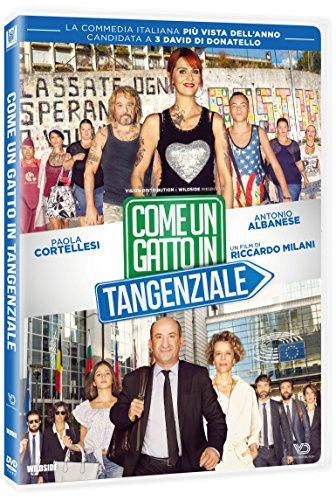 Like a Cat on a Highway ( Come un gatto in tangenziale ) [ Italienische Import ]