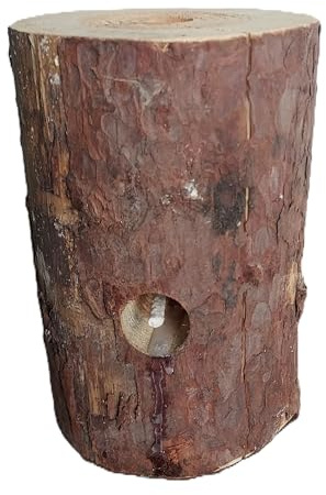 Woodson Schwedenfeuer 5 Stück Finnenfackel Baumfackeln Lagerfeuer optional mit Zitrusduft und Naturanzünder (Citronella)