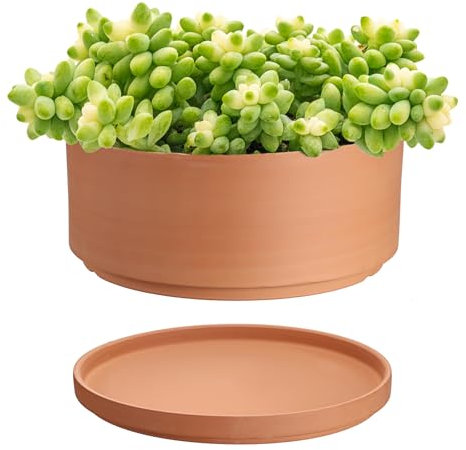 SUMTree Terracotta Plant Pots 25.4cm Diameter Shallow Plant Pot for Indoor Outdoor Plants Round Succulent Plant Pot with Drainage Hole Clay Pots Bonsai Pot Shallow Planter