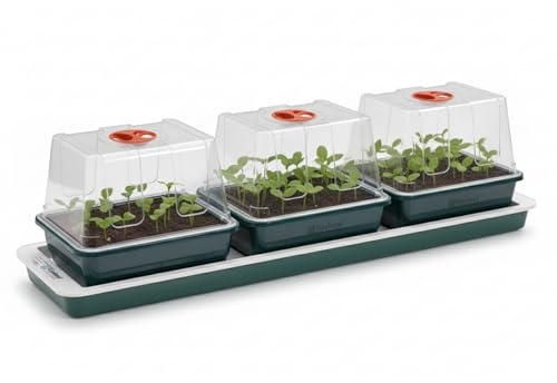 Oakland Gardens Trio Top Electric Windowsill Heated Propagator – Seed Starter Kit with 3 Chambers & Clear Vented Lids | Indoor Mini Greenhouse for Faster Germination