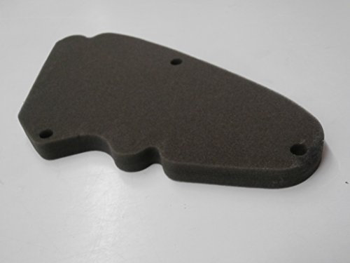 B017901 ELEMENTO FILTRO ARIA : PIAGGIO LIBERTY 125-150 - FLY 125 4T
