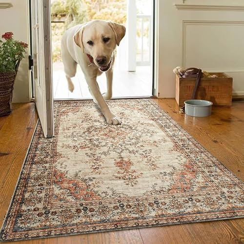 AMEHA Door Mat Indoor 80 x 150 cm Vintage Entrance Floor Mats Non Slip Washable Doormats Outside Dirt Trapper Heavy Duty Doormat Low Profile Super Soft Front Door Mat (Timeless)