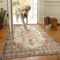 AMEHA Door Mat Indoor 80 x 150 cm Vintage Entrance Floor Mats Non Slip Washable Doormats Outside Dirt Trapper Heavy Duty Doormat Low Profile Super Soft Front Door Mat (Timeless)