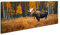 Elch im Herbstwald – König in goldenem Geäst Panorama 100x50cm XXL Kunstdruck Motiv auf Holzrahmen/Leinwandbild/Wandbild/Wohnzimmer Dekoration