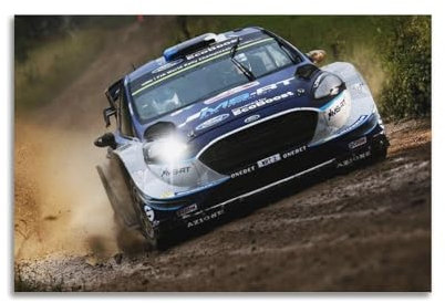 YTNSA Rallye-Renn-Poster, Fiesta, WRC-Rennwagen, Motiv: Staub erhöhen, dekoratives Gemälde, Leinwand, Wandposter und Kunstdruck, moderne Familienschlafzimmer-Dekoration, Poster, 50 x 75 cm