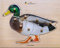 BSM - Puzzle-Set Ente, E72510270