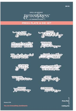 Spellbinders You are Everything Sentiments Plate & Die Set from The Pressed Posies Collection, Metal, ONE