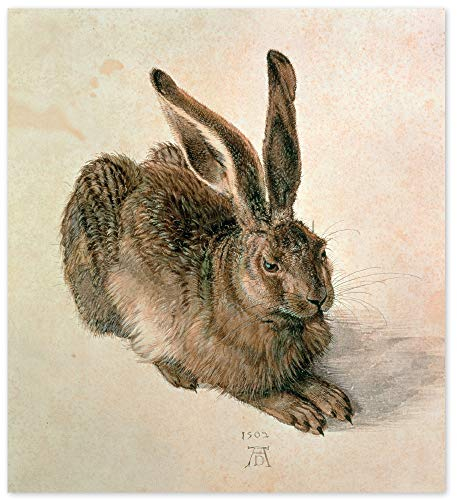 JUNIWORDS Poster, Albrecht Dürer, Feldhase, junger Hase, 20 x 22 cm