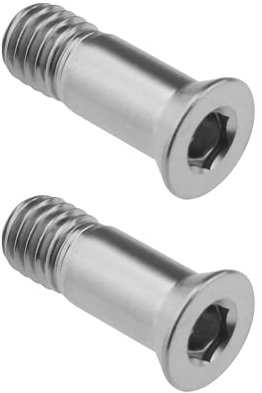 ECSiNG 2 Stück Titanlegierung Befestigungsschrauben Fahrrad Schaltwerk Schraube Fahrrad Schaltwerk Führungsrad Befestigungsschraube für Rennrad Mountainbike, Silber