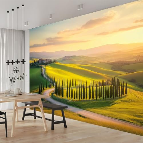Italien Toskana Landschaft Fototapete Grün Fototapeten Wandbild Motivtapeten Vlies-Tapeten Moderne Wandtapete Wand Schlafzimmer Wohnzimmer Dekoration 350x256 cm