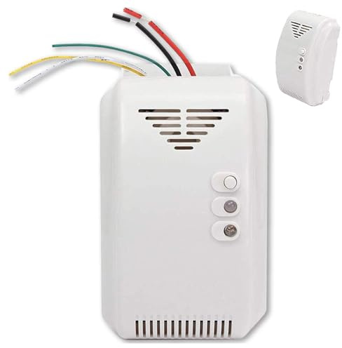 Gasdetektor – Propangasdetektor | Propanleckdetektor | Propanleckdetektor an der Wand | Gassensor, Leckalarm | Tragbarer Propanalarm für Haus und Cam
